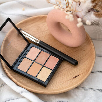 Pro Conceal and Correct Palette - Paletka pre rozjasnenie tváre 6 g